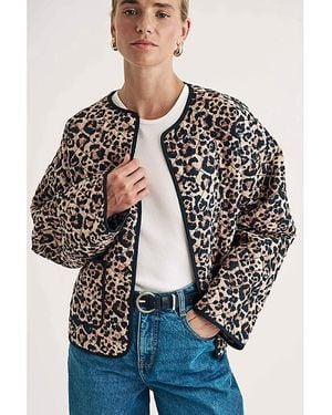 Nobody's Child Leopard Print Jacket - Blue