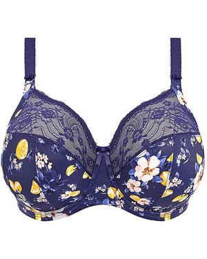 Elomi Morgan Full Cup Wired Bra - Blue