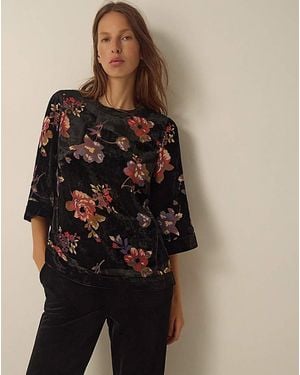 Monsoon Abril Floral Devore Velvet Top - Brown