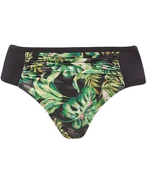 DORINA Curves Kano Bikini Brief - Green