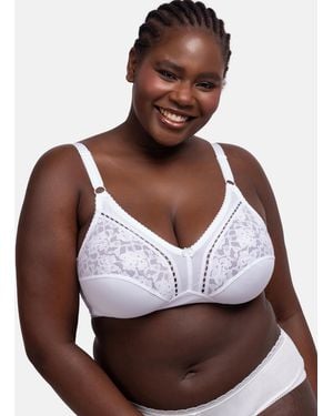 DORINA Classics Madeline Full Cup Bra - White
