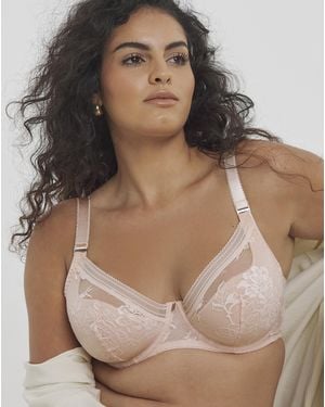 Fantasie Fusion Lace Plunge Bra - Brown
