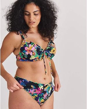 Simply Be Edge Detail Bikini Brief - Multicolour