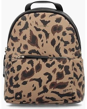 Fiorelli Ally Mini Backpack - Brown