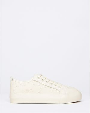 Simply Be Mesh Lace Trainer - Black