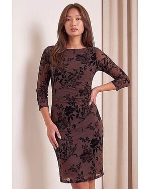 Roman Roman Flock Floral Dress - Brown