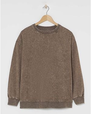 Simply Be Seam Detail Sweatshirt - Brown
