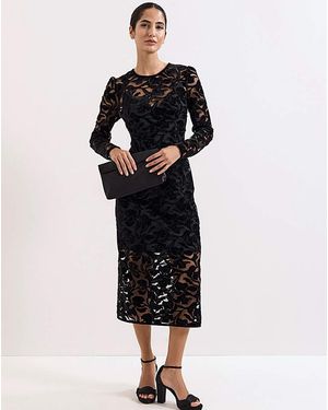 Phase Eight Viktoria Applique Dress - Black