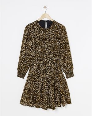 Simply Be Print Georgette Belted Skater - Brown