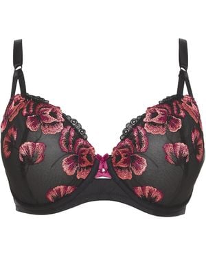 Joanna Hope Poppy Embroidery Balcony Bra - Black