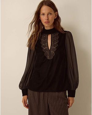Monsoon Jo Embroidered Velvet Top - Brown
