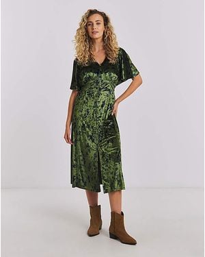Joe Browns Daria Velour Dress - Green