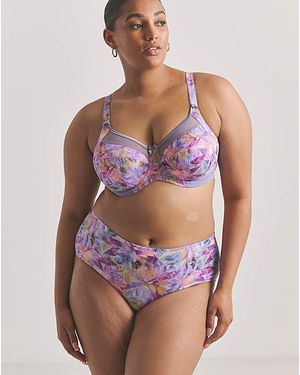 Goddess Kayla Full Fit Knicker - Red