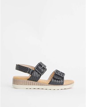 Cushion Walk T&C Buckle Sandal E Fit - Black