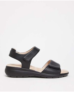 Cushion Walk T&C Sandal E Fit - Black