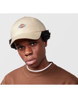 Dickies Hardwick 6 Panel Cap - Brown