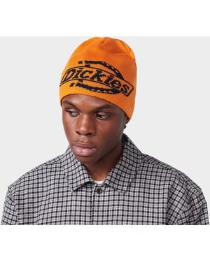 Dickies Summerdale Beanie - Black