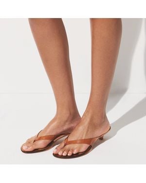 Skims Jelly Kitten Heel - Brown