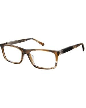 Champion Whim C02 - Black