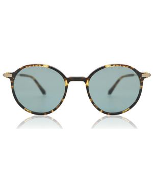 Paradigm 19-40 Tortoise - Black