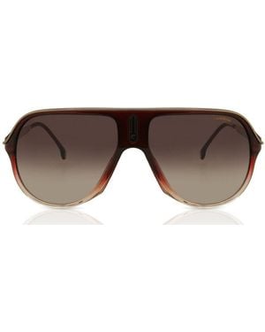 Carrera Safari65/N 7W5/Ha - Black