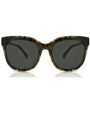 DIFF Gia Sea Turtle Turtoise+ Lens - Black