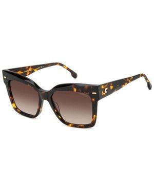 Carrera 3037/S 086/Ha - Black