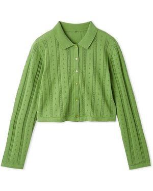 SNIDEL Color Textured Cropped Knit Cardigan - Green