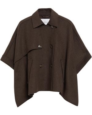 Comma, Cape Aus Doubleface - Braun