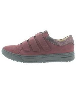 Hartjes Baskets Bandy H - Violet