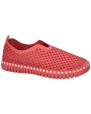 Ilse Jacobsen Slip Ons Tulip3977 (Tulip Slip-In) - Rouge
