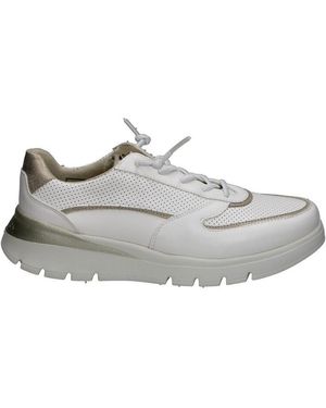Pitillos Baskets Basses 116816 - Gris