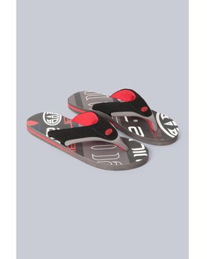 Animal Tongs Jekyl - Gris