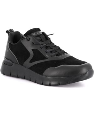 Grünland Baskets Basses Dsg-Sc6347 - Noir