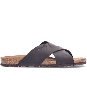 Interbios Mules 9509 moka - Marron
