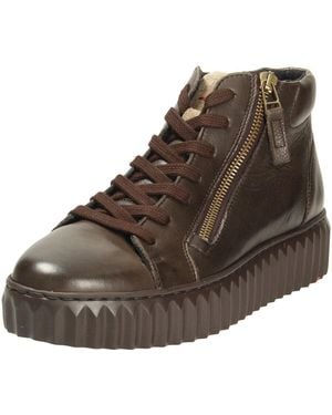 Lloyd Sneakers - Bruin