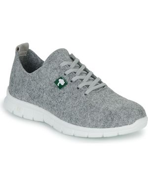 Dream in Green Dream - Grigio