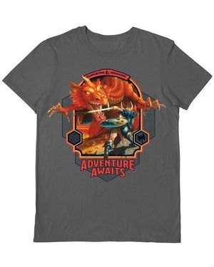 Dungeons & Dragons T-shirt Adventure Awaits - Gris