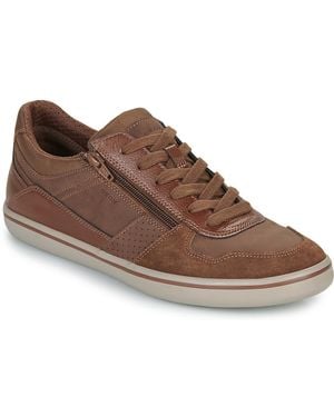 Geox Sneaker U Elver A - Braun