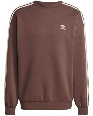 adidas Sweat-shirt GT29512 - Marron