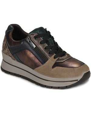Igi&co Sneakers Basse D.Anika - Marrone
