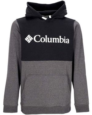 Columbia Sweat-shirt Trek Colorblock Hoodie shark - Gris