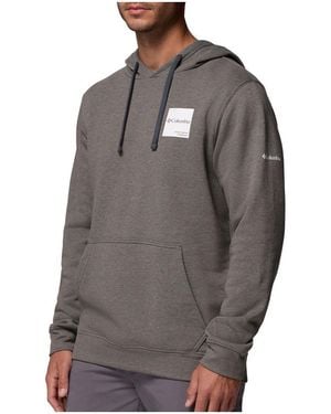 Columbia Pull Trek Hoodie - Gris