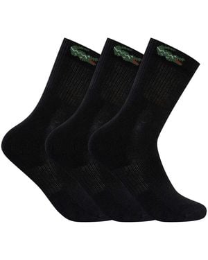 Lacoste Socquettes Lot De 3 Paires De Socquettes - Noir