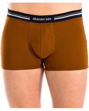 Abanderado Boxers A077I-1PO - Marron