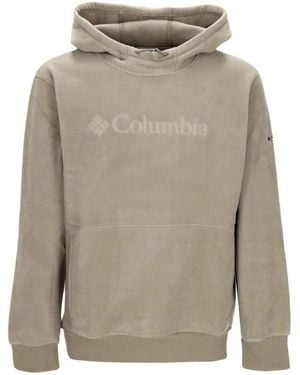 Columbia Sweatshirts À Capuche Steens Mountain Hoodie - Gris