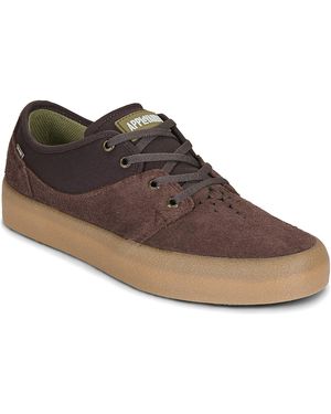Globe Sneakers Mahalo - Marrone