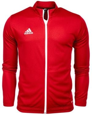 adidas Veste Veste de survêtement entrada 22 rouge
