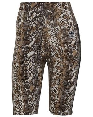adidas Short Originals - Gris