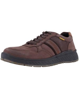 Camel Active Ville basse - Marron